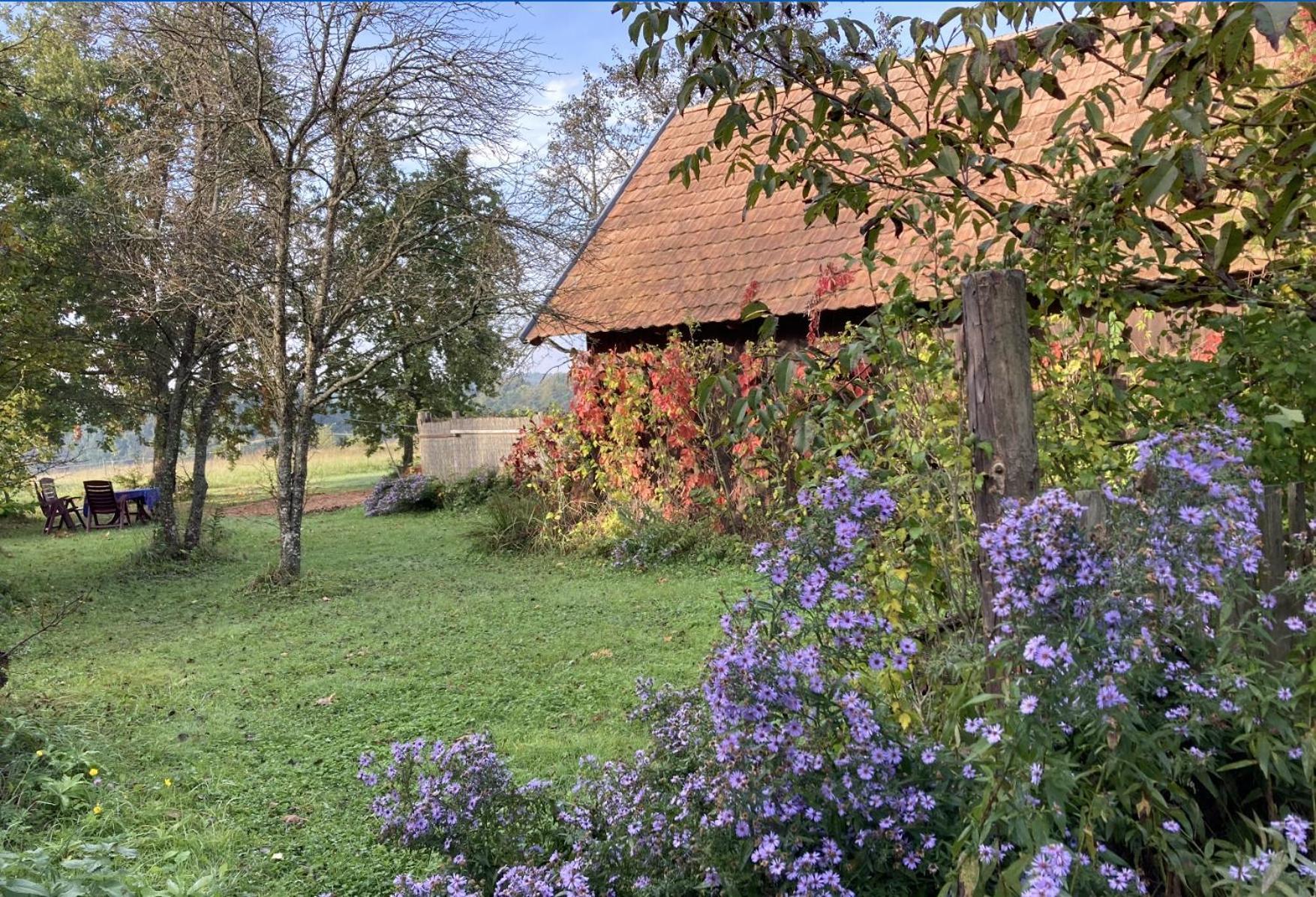 Naturpark Ferienhaus Szalafő Exterior foto